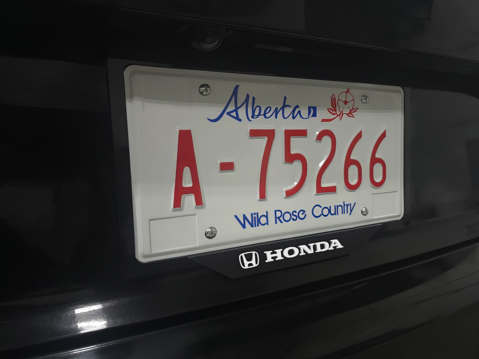 ford license plate frame black acrylic (copy) ford license plate frame black acrylic (copy)